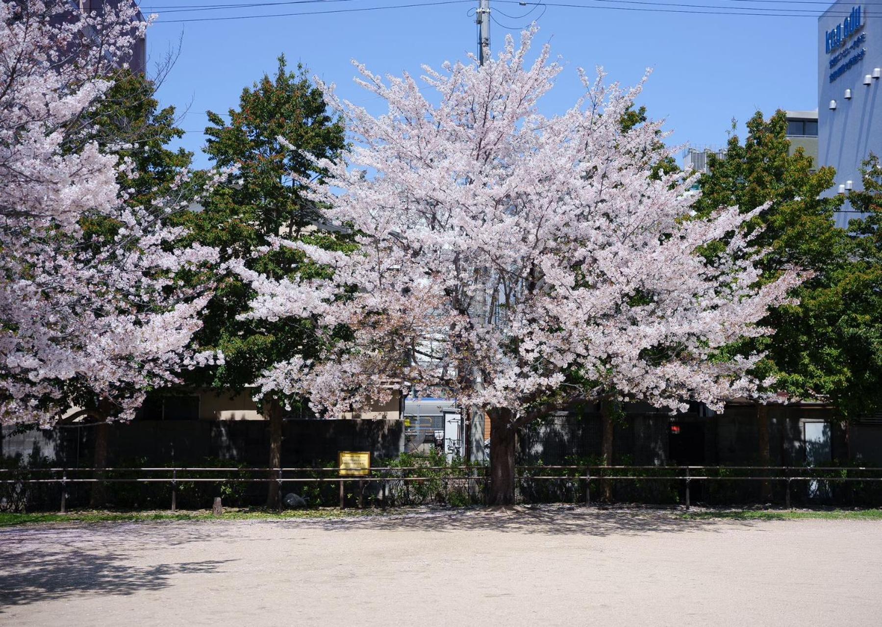 Konayuki Inn Machiya 粉雪の宿 5Min Walk From Kyoto St Dış mekan fotoğraf