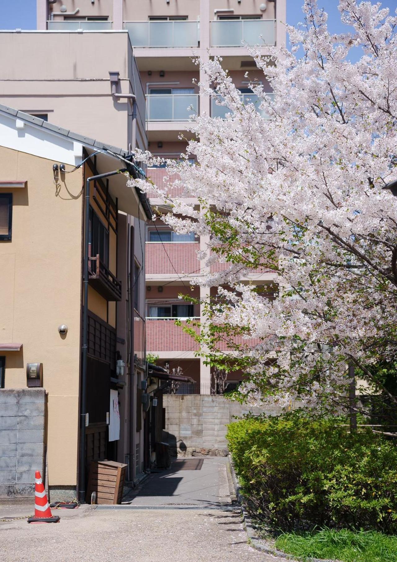 Konayuki Inn Machiya 粉雪の宿 5Min Walk From Kyoto St Dış mekan fotoğraf