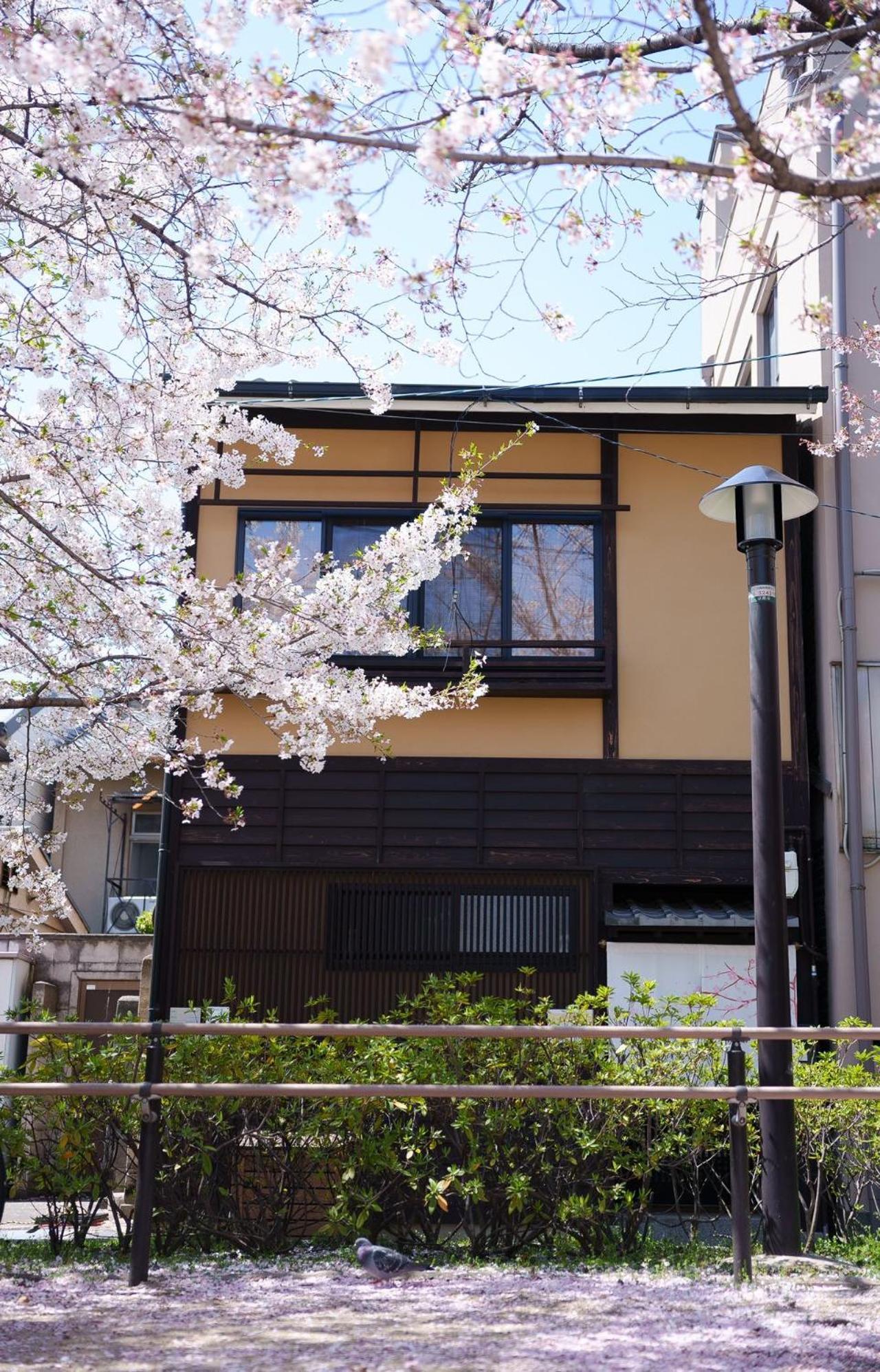 Konayuki Inn Machiya 粉雪の宿 5Min Walk From Kyoto St Dış mekan fotoğraf